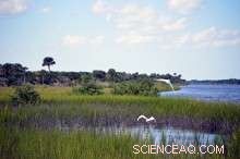 Habitat Changes Release Ancient Carbon into the Atmosphere