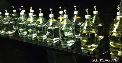 Habitat Changes Release Ancient Carbon into the Atmosphere