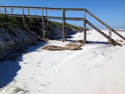 Habitat Changes Release Ancient Carbon into the Atmosphere