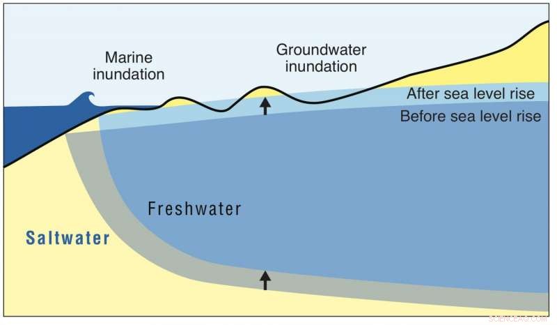 Sea Level Rise Puts Honolulu and Waikiki at Risk of Groundwater Inundation