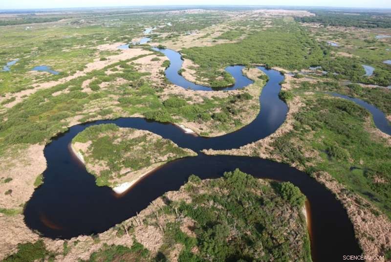 Building Climate Resilience: Harnessing Order in Chaos to Strengthen Ecosystem Defense