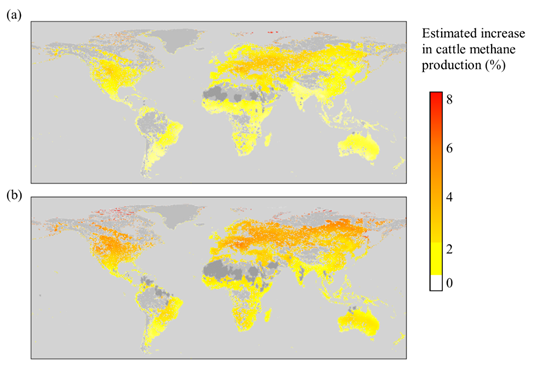 Enhancing Sustainability: Making Cattle Farming Greener and More Environmentally Friendly