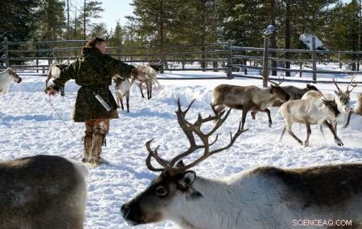 Oil Development Threatens Siberian Indigenous Lands: The Sopochin Family Stands Firm