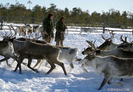 Oil Development Threatens Siberian Indigenous Lands: The Sopochin Family Stands Firm