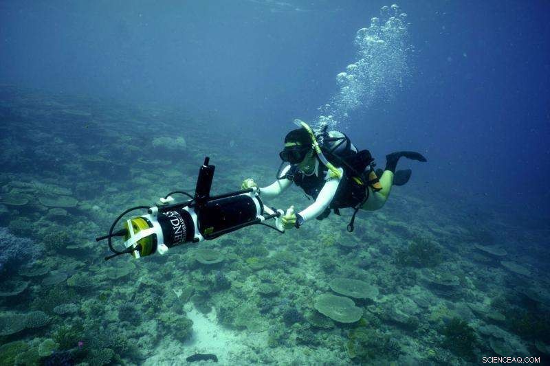 Researchers Use 3‑D Mapping to Examine Global Warming’s Impact on the Great Barrier Reef