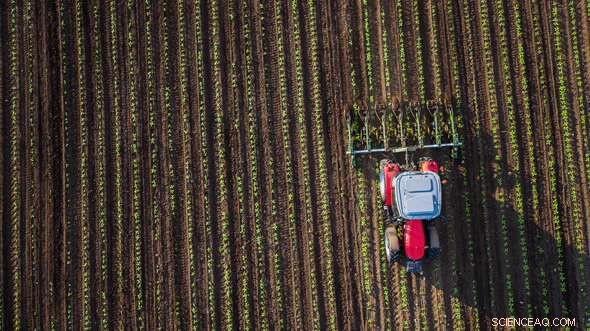 Radiocarbon Analysis Reveals How Agriculture Alters Subsoil Carbon Storage