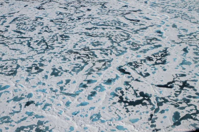 Unveiling the Secrets Behind the Green Ice of the Arctic