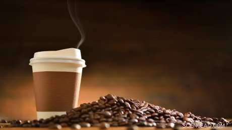 Reducing Disposable Coffee Cups: Bewley s Plan to Cut 50–300 Million Cups Annually