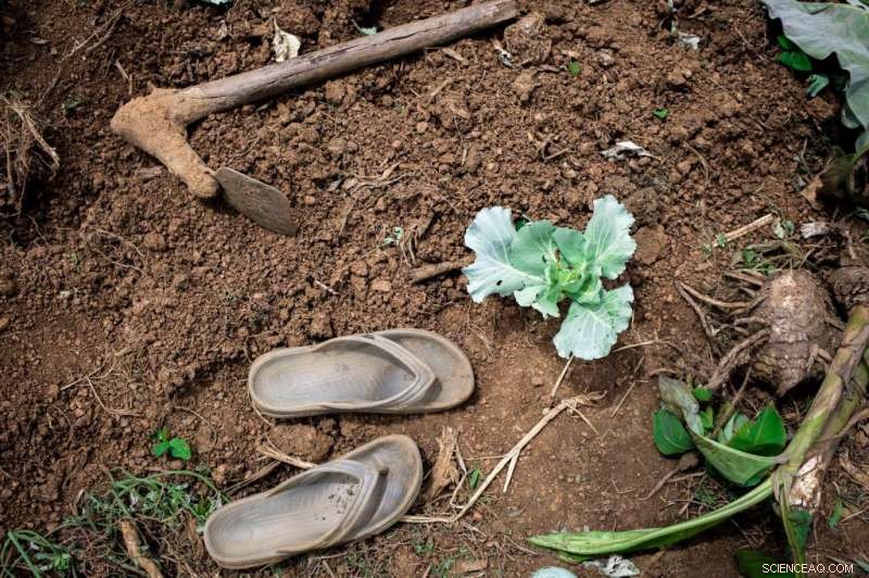 New Global Food Crisis Report Sets Urgent Action Benchmarks to Prevent Future Disasters