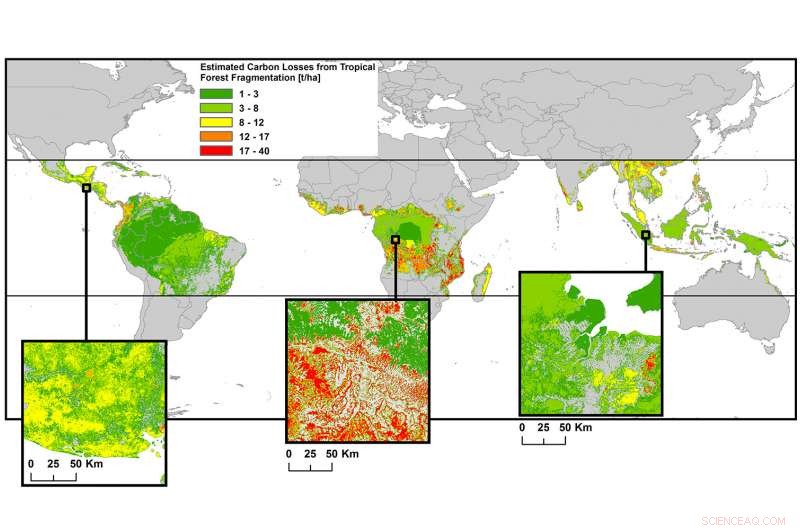 Tropical Forest Fragmentation Drives Rising Global Greenhouse Gas Emissions
