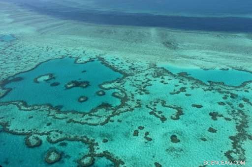 Cyclone Threatens Great Barrier Reef, Sparking Conservation Concerns