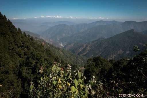 India Grants Legal Person Status to Himalayan Glaciers, Lakes, and Forests