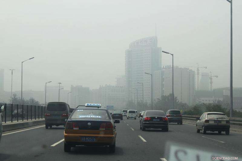 Vehicles, Not Farms, Are the Primary Source of Smog‑Causing Ammonia