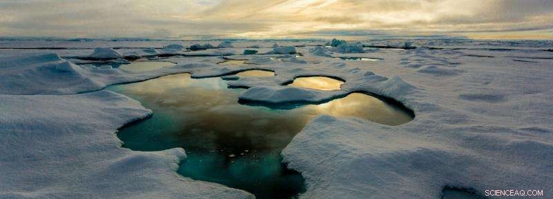 Melting Sea Ice Could Boost Marine Life