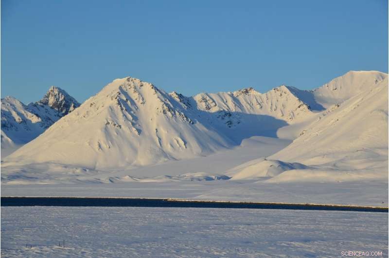 Arctic Soil Microbes Highly Sensitive to Future Climate Change