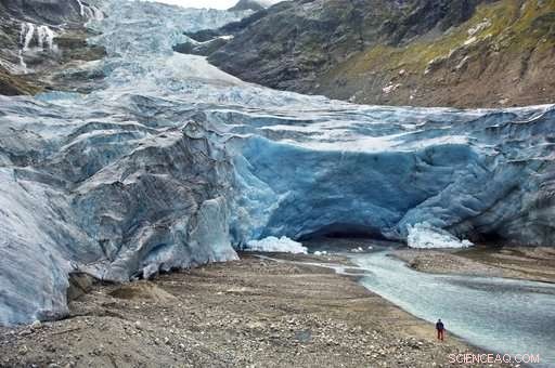 Global Glacier Meltdown: Past and Present Evidence