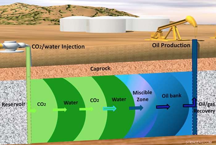 Comprehensive Risk Assessment of CO₂ Sequestration in Enhanced Oil Recovery Operations