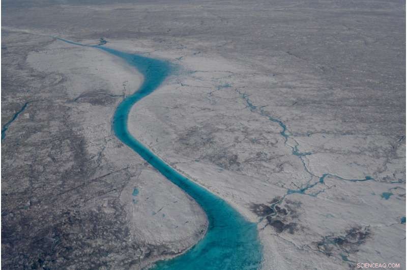 Ice Sheet Microbes Generate Bioreactive Carbon Exported to Downstream Ecosystems