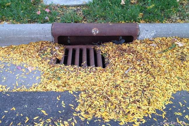 Urban Waters at Risk: Fertilizer & Pet Waste Release Nitrogen & Phosphorus