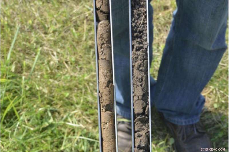 Healthy Soil: The Essential Ingredient for Global Food Security