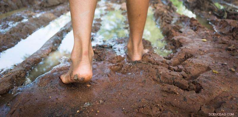 How Ocean Tides Influence Underground Water Systems