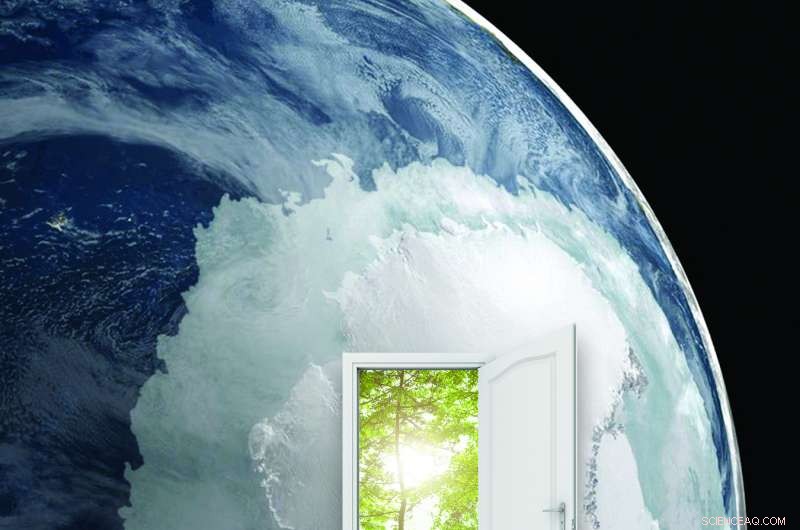 Global Photosynthesis Rises: New Research Reveals Increasing Carbon Sequestration