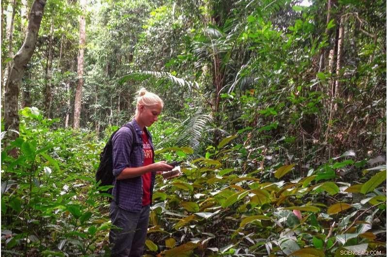 Africa s Growing Agriculture Threatens Deforestation: New Study Highlights Risks