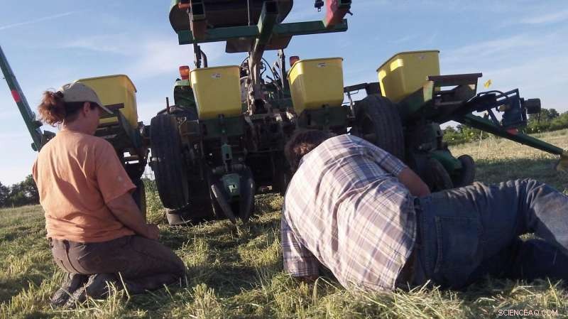 Organic Cover Crop Strategies: Cover, Crimp, Cultivate for Effective Weed Control