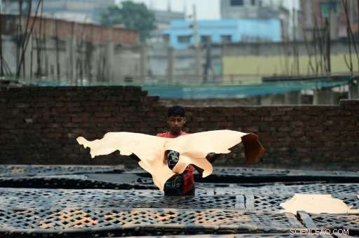 Bangladesh Shuts Historic Tannery Quarter, Ending One of World s Most Polluted Sites