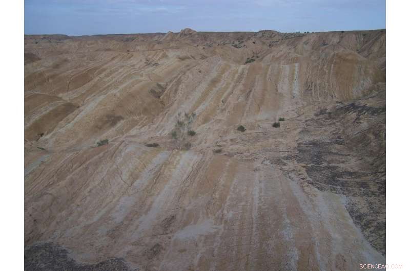 Tibet Sediments Reveal Climate Shifts from the Late Miocene—6 Million Years Ago