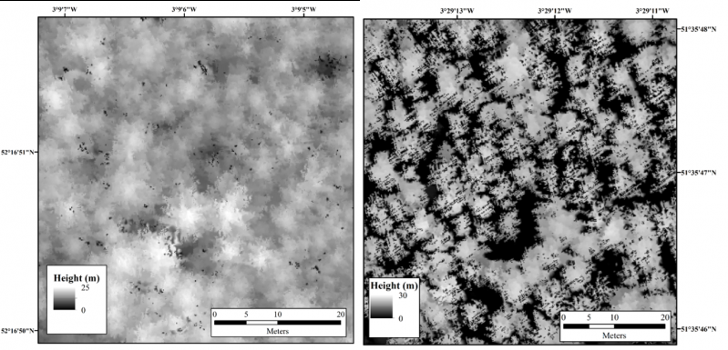 Leicester Researchers Use Remote Sensing to Detect Larch Trees Affected by Deadly Disease