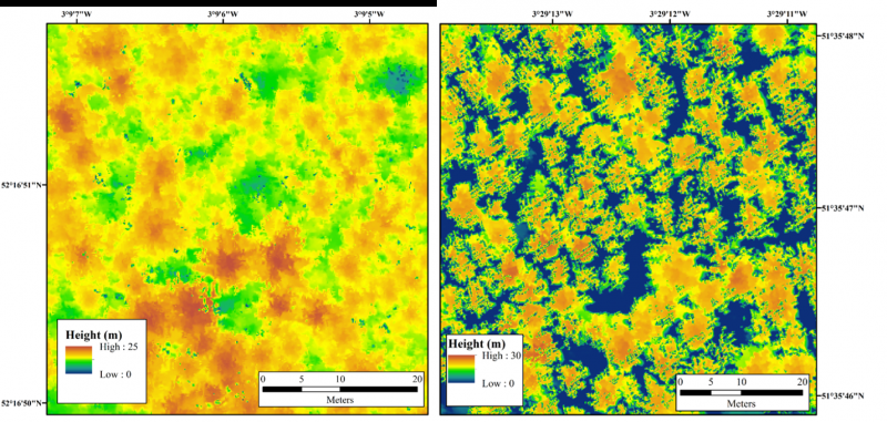 Leicester Researchers Use Remote Sensing to Detect Larch Trees Affected by Deadly Disease