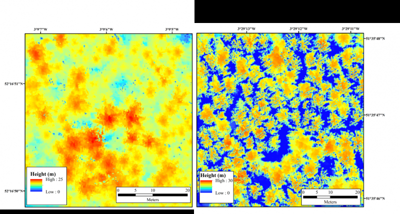 Leicester Researchers Use Remote Sensing to Detect Larch Trees Affected by Deadly Disease