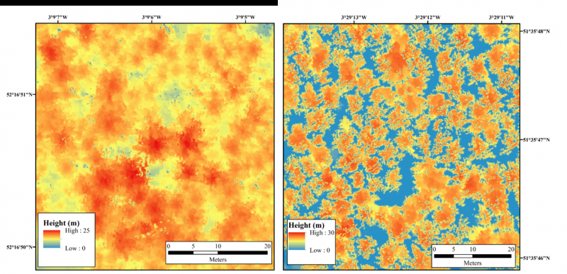 Leicester Researchers Use Remote Sensing to Detect Larch Trees Affected by Deadly Disease