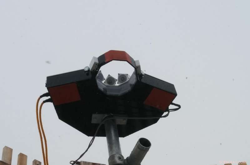 Decoding Snowflakes: From the Alps to Antarctica