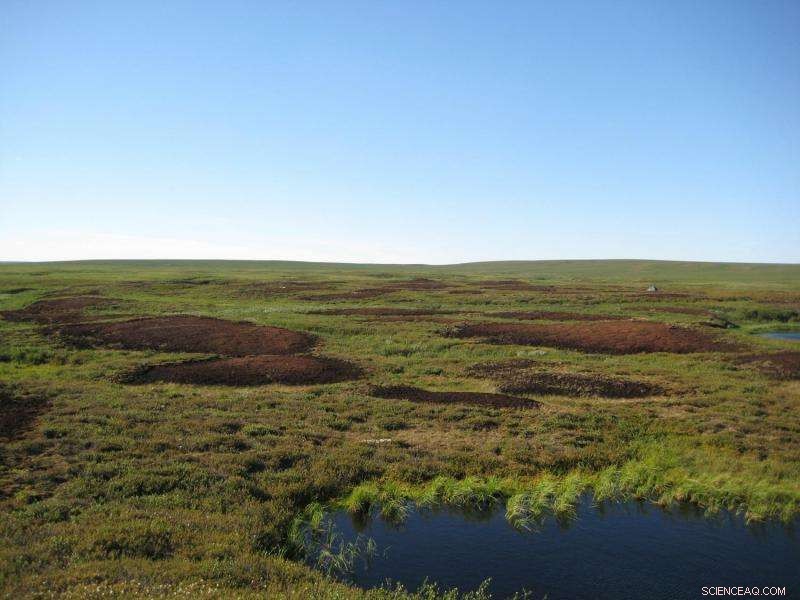 Scientists Reveal Isotopic Signature of Nitrous Oxide Emissions in Arctic Tundra