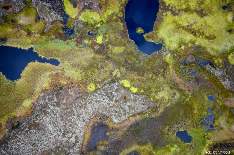 Limiting Permafrost Thaw: How Ambitious Climate Targets Can Prevent Massive Greenhouse Gas Release