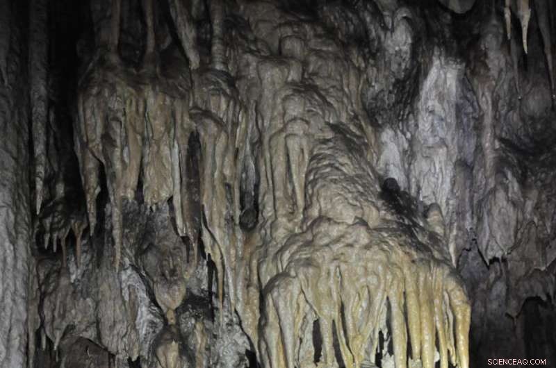 Stalagmites Reveal Valuable Paleoclimate Records