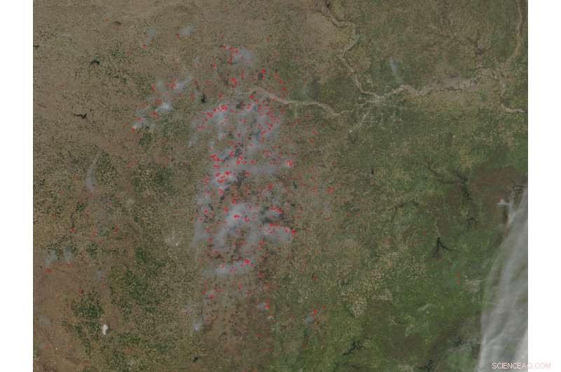 Prescribed Fires Reshape Kansas Landscape: Causes, Effects, and Management