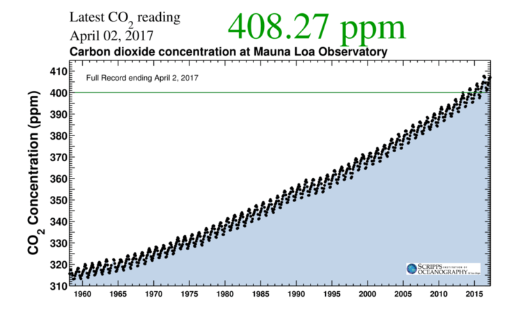 Monitoring Earth’s Carbon Cycle from Space: Insights into Planetary Breath