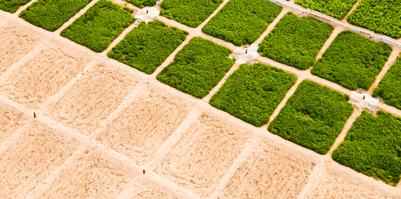 Agricultural Irrigation: A Proven Climate Cooling Mechanism