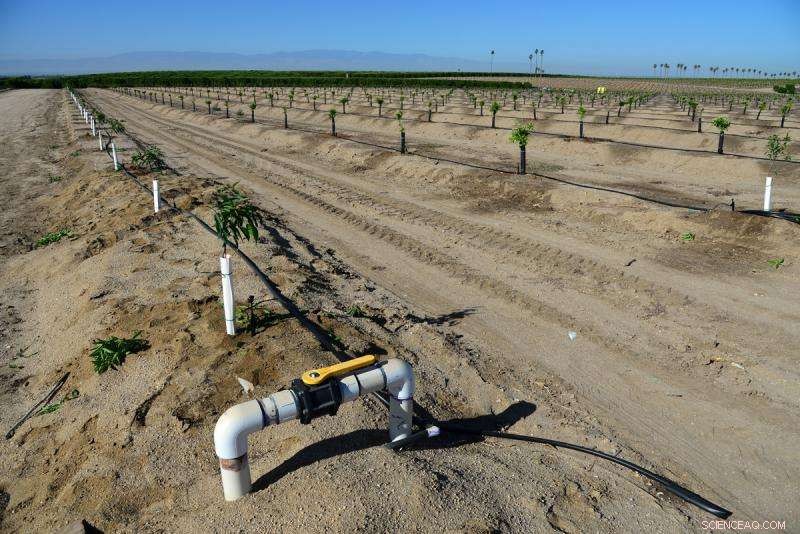 Groundwater Overuse Drains San Joaquin Valley’s Water Storage Capacity Indefinitely