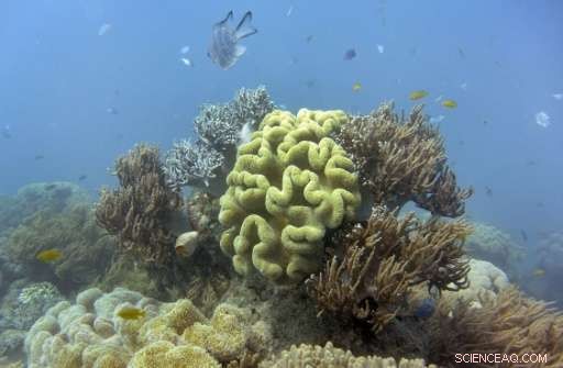 Study Shows Great Barrier Reef Damage Could Cost Australia Over 1 Million Tourists