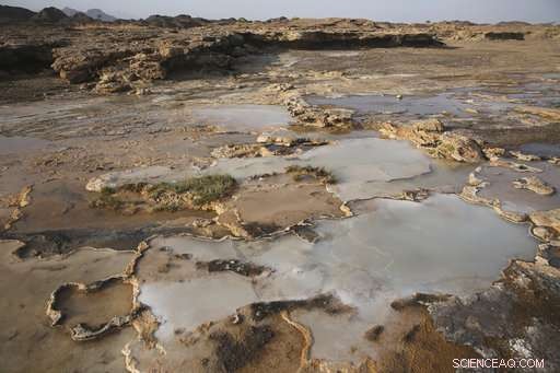 Scientists Pursue Climate‑Change Breakthrough in Oman’s Hills