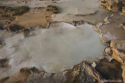 Scientists Pursue Climate‑Change Breakthrough in Oman’s Hills