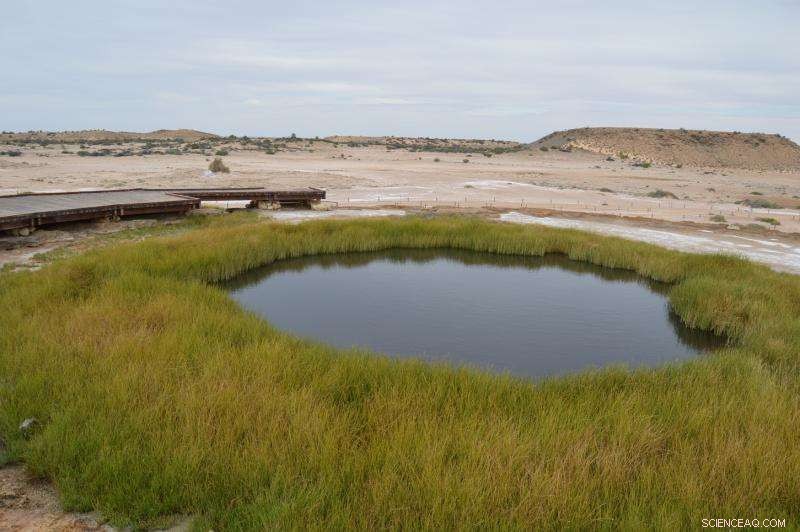 Understanding Why Coal Mines Require Extensive Water Usage