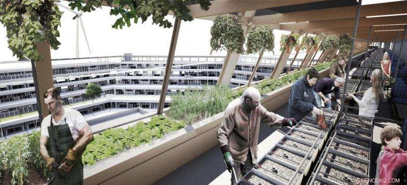 Thriving in Urban Life: Embrace the City While Avoiding Catastrophic Risks