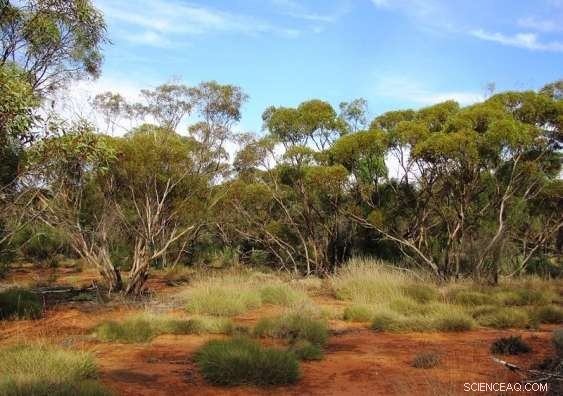 Past Climate Outperforms Current Climate in Predicting Soil Carbon Levels
