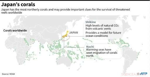 Shikine Island: A Volcanic Key to Protecting Coral Reefs