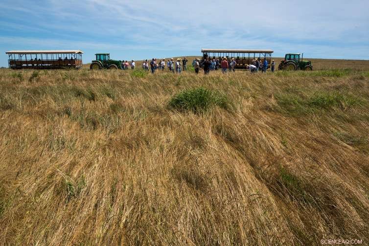 Revitalize Soil Health for a Greener Future